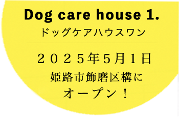 Dog care house 1 - ドッグケアーハウスワン 2025年5月1日 姫路市飾磨区構にオープン！