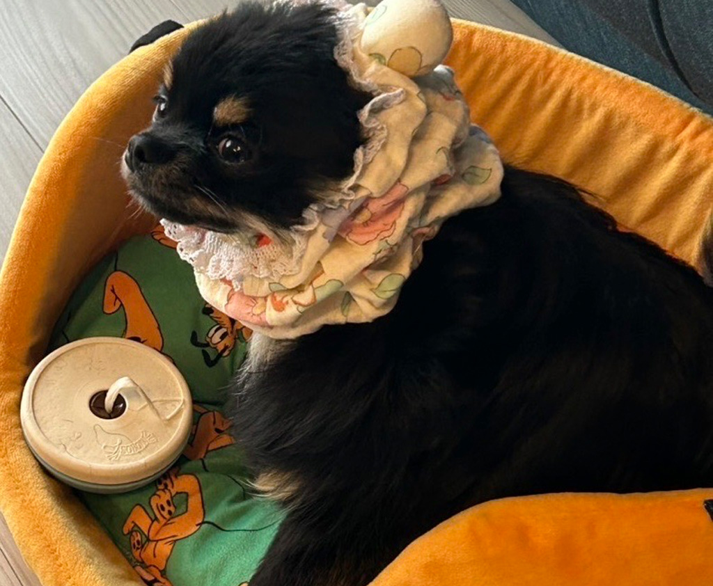 長期・営業時間外にも対応