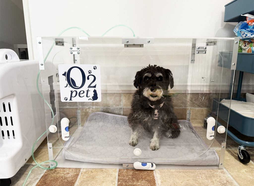 安心のホテルステイ